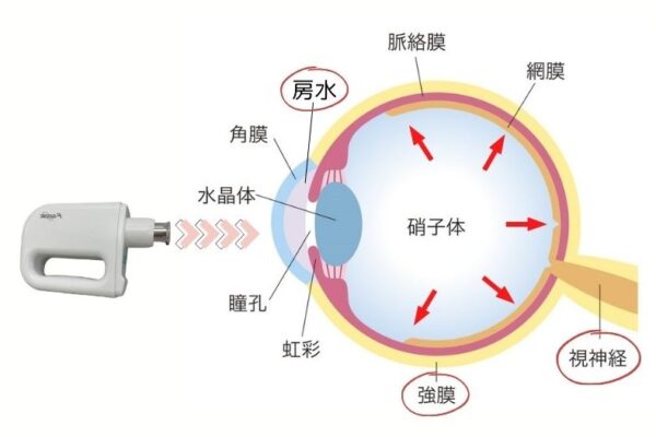 眼圧を一定に保つ